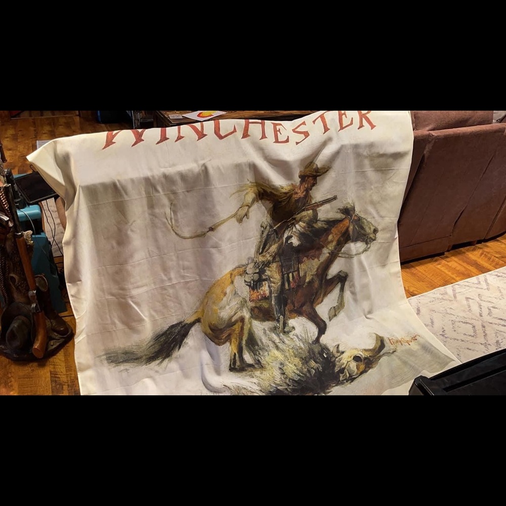 Winchester Soap dispenser and shower curtain